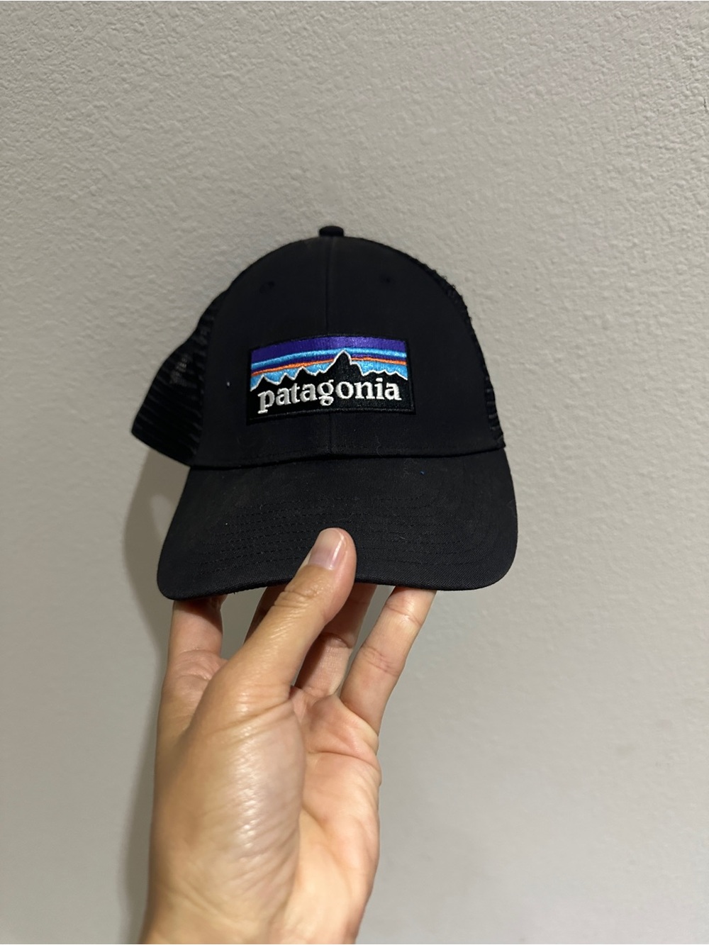 Patagonia Black Trucker Cap with Blue and Purple Logo